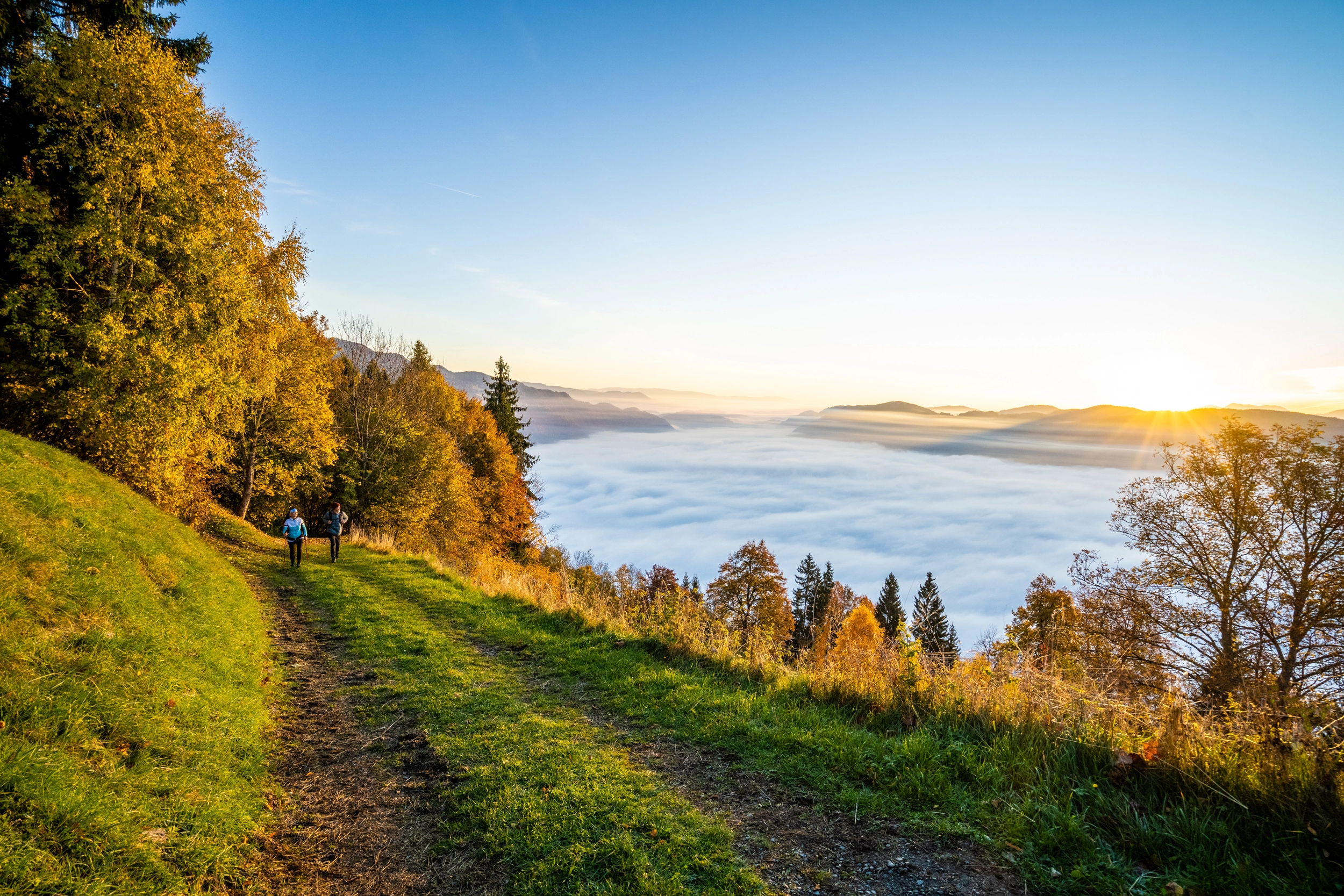 Wanderweg mit Blick auf den Wörthersee und die Karawanken
